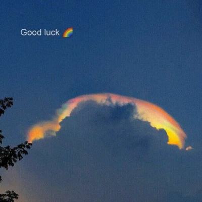 风云体育官方网站下载截图